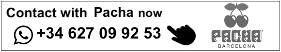 pacha contact